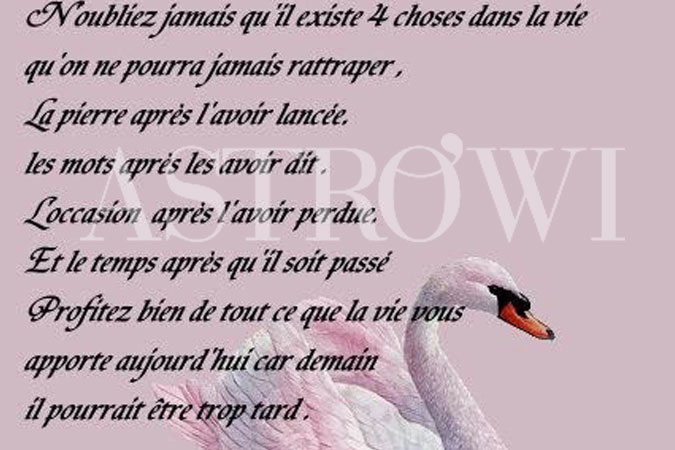 Astrowi : Citation 2015